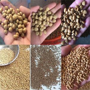 Wholesale 500kg/H Small Fish Food Pellet Making Machine 2.2kw Cutting Power from china suppliers
