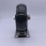Stainless Steel SS Swivel Caster Wheel for Corrosive Environment 3 Inch