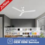Noiseless DC Motor Indoor Ceiling Fan 5 Speeds 3 Colors Change Light