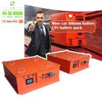 CTS Rechargeable Lifepo4 Battery 48V 302Ah 15kwh With LED Display For Tramcar