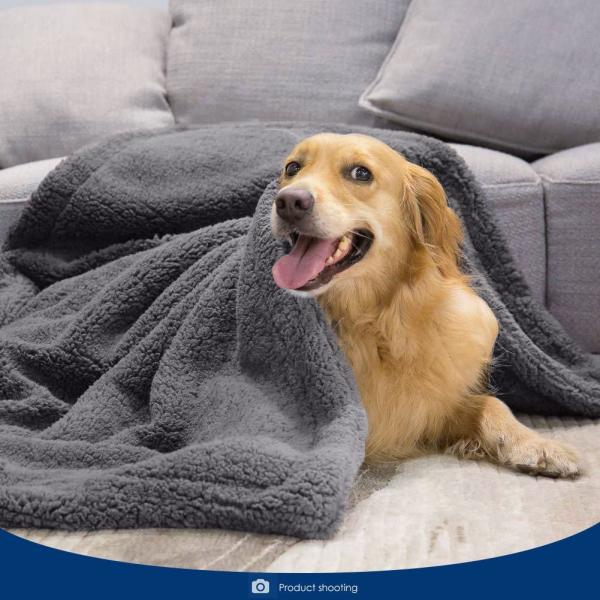 Calming Blanket For Cats Amazon Lamb Down Dog Blanket Cat Mat Pet Supplies Pet