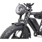 Retro Ebike Cruiser Dual Battery Enduro 7 Speed 48V 1000W Electric Fat Tire Bike