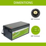 12.8v 300ah Lithium Ion Battery Lifepo4 Battery Travel Caravan For Pv System