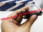 Renault Auto Parts 0445120066 Unit Injector Assembly