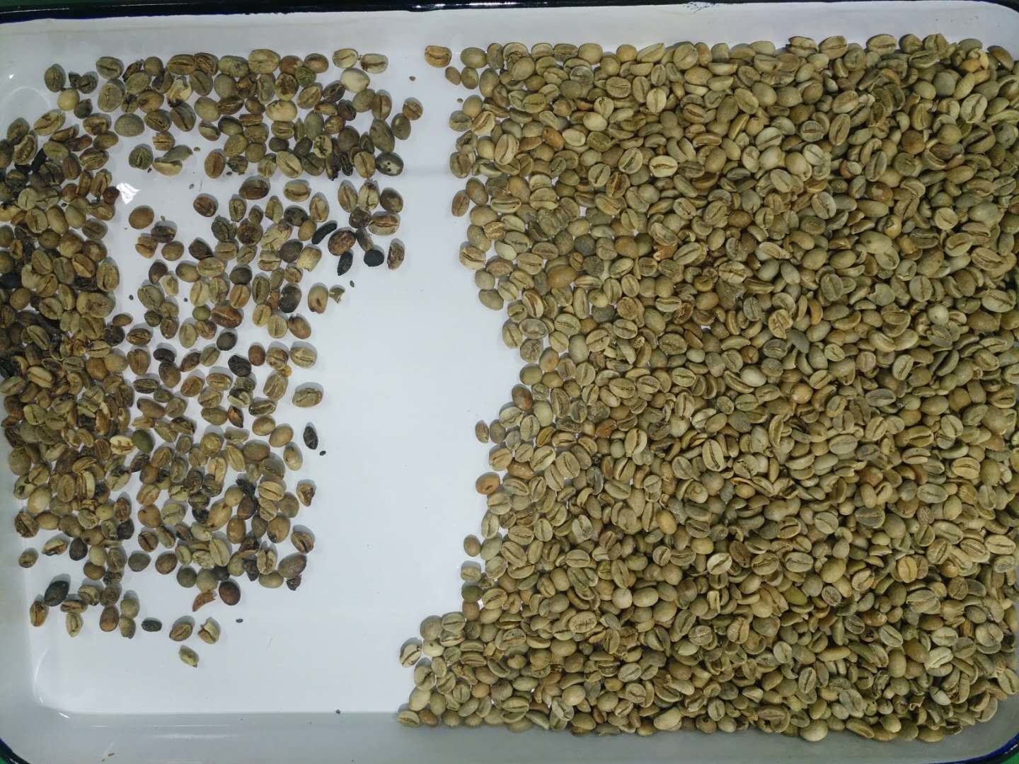 High Output Farmland Automatic Haricot Navy Beans Color Sorter Popular in the USA