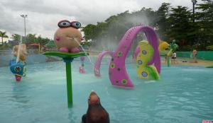 Wholesale Carp Carton Kids Water Playground Spray , Children / Kids Playground Water Play from china suppliers