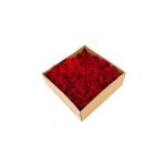 Decorative Modern Green Moss , Indoor Moss Wall With No Harmful Substances