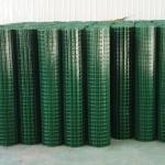 Pvc Coated Chicken Coop Square Hole Farm Fence 1/2 Inch 3/4 Inch Welded Wire