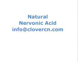 Wholesale ACNS00509 - Acer truncatum flavone and acer truncatum nervonic-ACN-A Clover Nutrition Inc-China from china suppliers