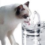 Pet Water Dispenser Automatic Dog Drinking Plastic Fountain Cat Water Fountain