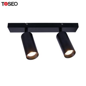 Wholesale IP20 Surface Mounted Adjustable Downlight Commercial Double Head Spotlight from china suppliers
