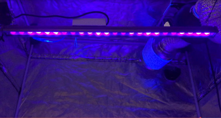 Full Spectrum 20001.6mW UV90 60W LED Grow Light Bar