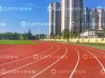 Iaaf Approved 13mm Prefabricated Runway Rubber Running Track for Stadium Tartan
