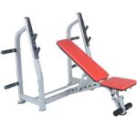 Adjustable Folding Workout Olympic Weight Lifting Full Body Workout Weight Bench