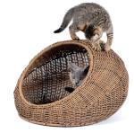 Washable Hanging Cat Bed Wicker For Medium Indoor Cats