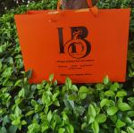 Personalized Courier Fashionable Paper Shopping Bags Euro Shopper Paper Bag