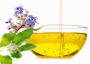 Wholesale Original Flavor Healthy Edible Oil Cold Pressed Borage Oil Quick Delivery from china suppliers