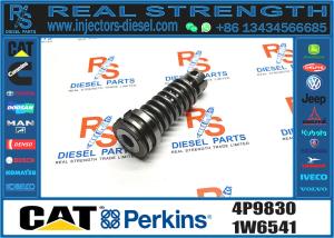 Wholesale Diesel Fuel Injection Pump Plunger 1w6541 4p9830 9h5797 6n7527 7W5929 9H5797 6N7525 from china suppliers