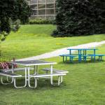 Factory Customized Picnic Table Outdoor Wooden Table Bench Garden Furniture
