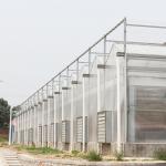 Agriculture Film Clear Polycarbonate Greenhouse Transparent Square Steel Frame