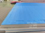 Puzzle Martial Arts Mat Judo Mat Taekwondo Mat Tatami Tatami 4CM EVA