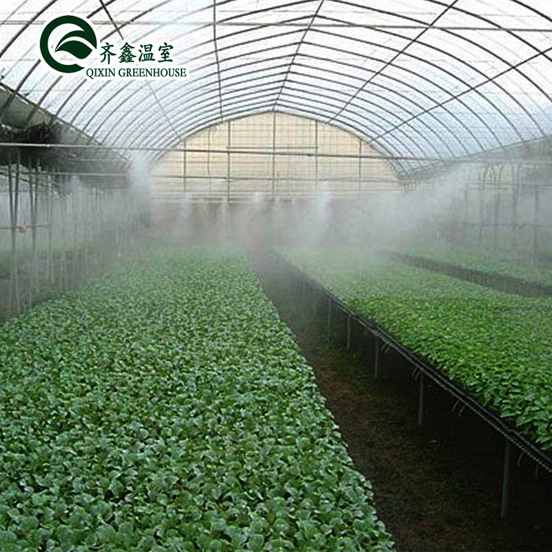 Boost Potato Harvest Large Plastic Pipes Multi-Span Agricultural Greenhouses