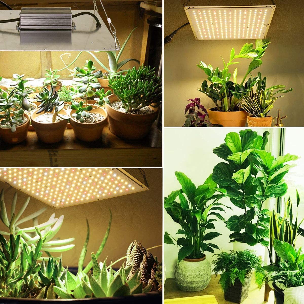 ETL IP65 Horticulture Quantum Board For Garden