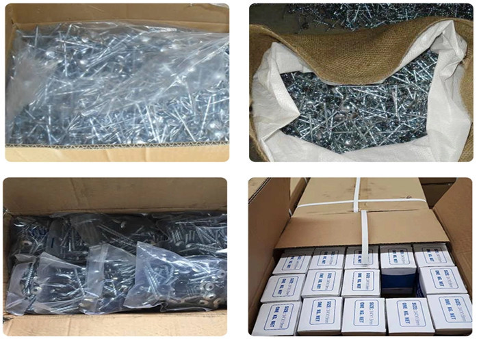 BWG8 2-1/2" Galvanised umbrella Roofing Nails