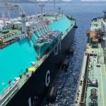 Wear Resistant Inflatable Dock Fenders