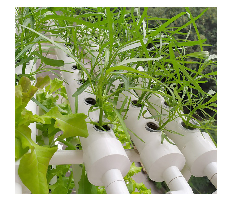 Clear 2 Inch Hydroponic System Plastic Mesh Basket Nursery Net Pot For NFT Plant Grow