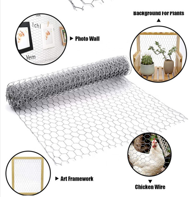 1.8m BWG 21 Chicken Mesh Fence 1/4" Hot Dip Galvanized Hex Netting