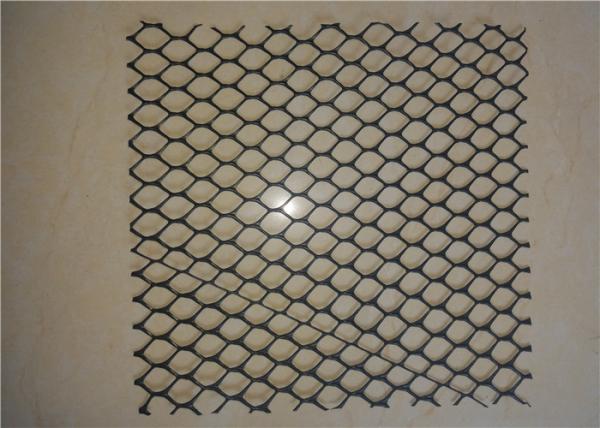 Black Color Two-Dimension HDPE Geonet Hexagon Grid Shape For Highway Roadbed
