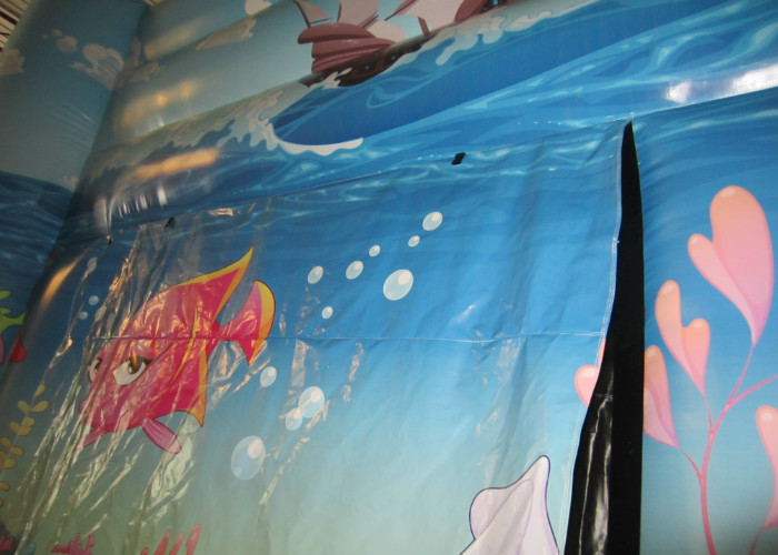 Digital Paintingbounce House Indoor Playground , Undersea World Blow Up Playhouse