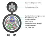 Aerial Figure 8 Armoured Fiber Optic Cable GYTC8A YTTX
