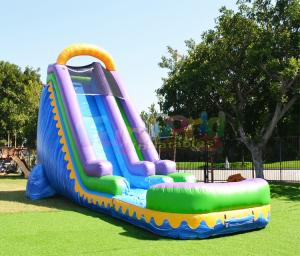 Wholesale Custom Outdoor Inflatable Water Slides Kids Play Bouncy Castles from china suppliers
