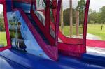 OEM Printing Inflatable Bouncer Slide , Commercial Disney Frozen C4 Combo