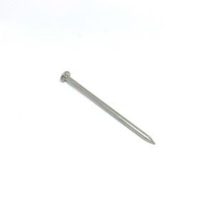Wholesale Round Flat Head Shark Point 316 Grade Stainless Steel Nails For Fixing from china suppliers