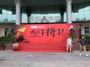 Wholesale Vivid Colors Digital Printing Banners Coated Material For Clothing Factory from china suppliers