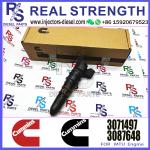 Remanufactured Diesel Fuel Injector 3045102 3071497