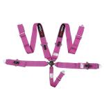 EDDY Purple 5 Point Racing Seat Belt Harness SFI Certificate For Race Car