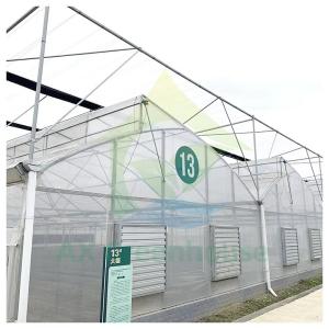 Wholesale Poly Plastic Film Tunnel Multi-span Agricultural Vegetable Growing Greenhouse from china suppliers