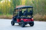 Electric Single Seat Fully Customizable Rario Golf Cart Vintage 8 Seater
