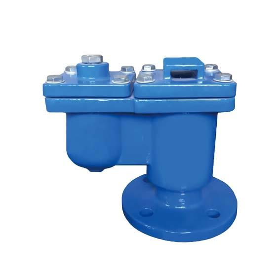 BS ANSI Ductile Iron Check Valves Automatic Air Valve Flange Cast Iron Flanged