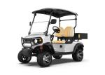 CE Certified 2 Seater Electric Golf Cart With A Cargo Bucket For Easy Transporta