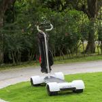 10.5 Inch Tire 4 Wheel Electric Skateboard 2000w 60V/20.8AH Lithium Battery Golf