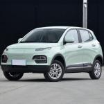 5 Seat Electric Car YUE HU Long Range High Speed Big Capacity Electric SUV