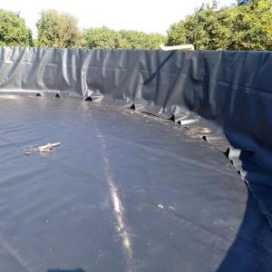 Wholesale 100% Virgin HDPE LLDPE Fish Pond Waterproof Geomembrane HDPE Rolls for Shrimp Farming from china suppliers