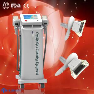 Wholesale cryolipolysis Slimming Machine / zeltiq cryolipolysis beauty equipment for body shaping from china suppliers
