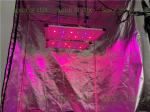 Horticulture 240Watts DIY Led Indoor Garden Lights