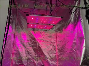 Wholesale Greenhouse 240Watt Tent 2x2 Led Grow Light from china suppliers